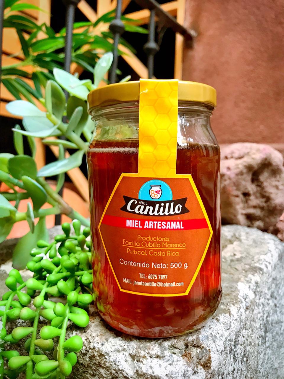 Miel Cantillo [100% Pura] 500g - Zona de Puriscal